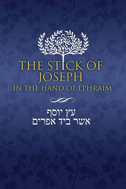 The Stick of Joseph in the Hand of Ephraim - Paperback | Diverse Reads
