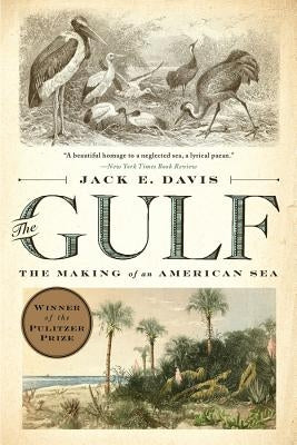 The Gulf: The Making of an American Sea - Paperback | Diverse Reads