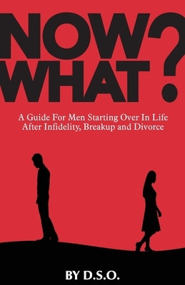 NOW WHAT?: A Guide for Men Starting Over in Life After Infidelity, Breakup and Divorce - Paperback | Diverse Reads