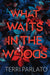 What Waits in the Woods: A Chilling Novel of Suspense with a Shocking Twist - Hardcover | Diverse Reads