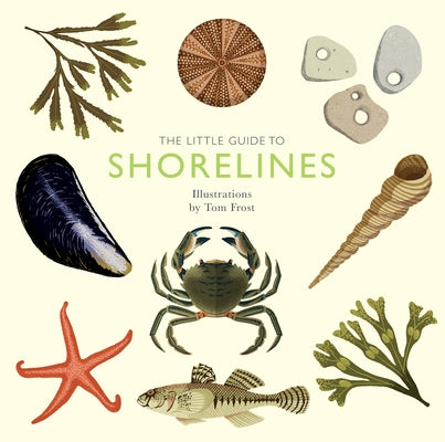 The Little Guide to Shorelines - Hardcover | Diverse Reads