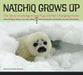Natchiq Grows Up: The Story of an Alaska Ringed Seal Pup and Her Changing Home - Paperback | Diverse Reads