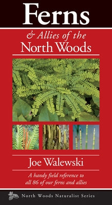 Ferns & Allies of the North Woods: A Handy Field Reference to All 86 of Our Ferns and Allies - Paperback | Diverse Reads