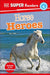DK Super Readers Level 4 Horse Heroes - Paperback | Diverse Reads