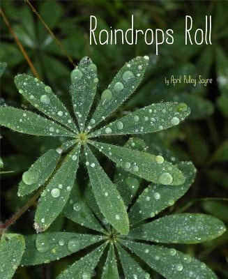 Raindrops Roll - Hardcover | Diverse Reads