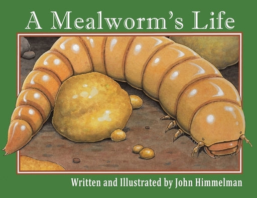 A Mealworm's Life - Paperback | Diverse Reads