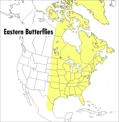 A Peterson Field Guide To Eastern Butterflies - Paperback | Diverse Reads