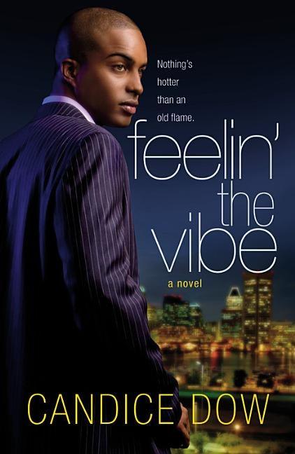 Feelin' the Vibe - Paperback |  Diverse Reads