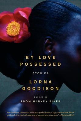 By Love Possessed: Stories - Paperback |  Diverse Reads