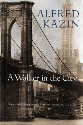 A Walker In The City - Paperback | Diverse Reads