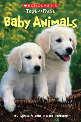 Baby Animals (Scholastic True or False) - Paperback | Diverse Reads