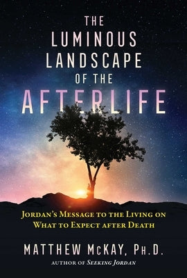 The Luminous Landscape of the Afterlife: Jordan's Message to the Living on What to Expect after Death - Paperback | Diverse Reads