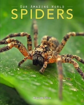 Spiders: Amazing Pictures & Fun Facts on Animals in Nature - Paperback | Diverse Reads