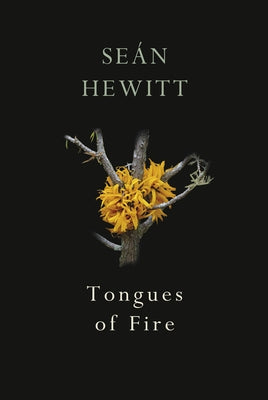 Tongues of Fire - Paperback | Diverse Reads