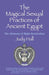 The Magical Sexual Practices of Ancient Egypt: The Alchemy of Night Enchiridion - Paperback | Diverse Reads