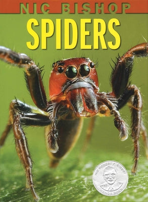 Spiders - Hardcover | Diverse Reads