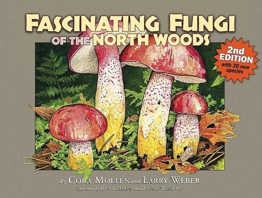 Fascinating Fungi of the North Woods - Paperback | Diverse Reads
