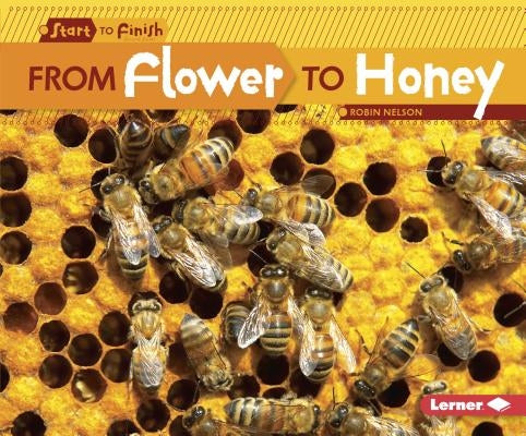 From Flower to Honey - Paperback | Diverse Reads