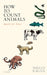How to Count Animals, more or less - Paperback | Diverse Reads
