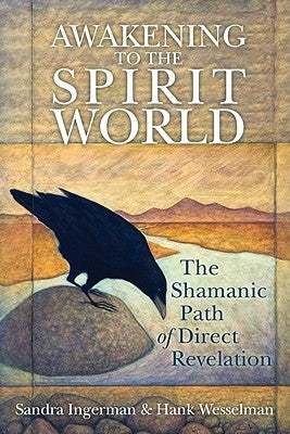 Awakening to the Spirit World: The Shamanic Path of Direct Revelation - Paperback | Diverse Reads