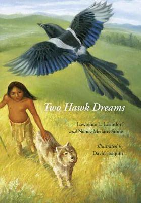 Two Hawk Dreams - Paperback | Diverse Reads