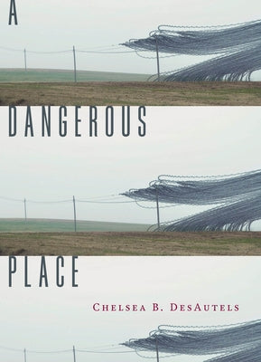 A Dangerous Place - Paperback | Diverse Reads