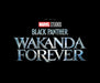 Marvel Studios' Black Panther: Wakanda Forever - The Art of the Movie - Hardcover | Diverse Reads
