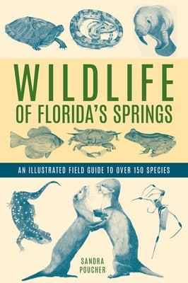 Wildlife of Florida's Springs: An Illustrated Field Guide to Over 150 Species - Paperback | Diverse Reads