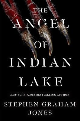 The Angel of Indian Lake - Hardcover | Diverse Reads
