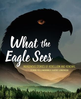 What the Eagle Sees: Indigenous Stories of Rebellion and Renewal - Paperback | Diverse Reads