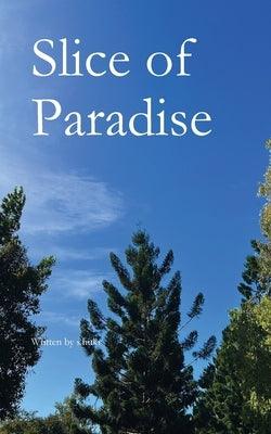 Slice of Paradise - Paperback | Diverse Reads