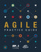 Agile Practice Guide - Paperback | Diverse Reads
