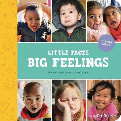 Little Faces Big Feelings: What Emotions Look Like - Hardcover | Diverse Reads