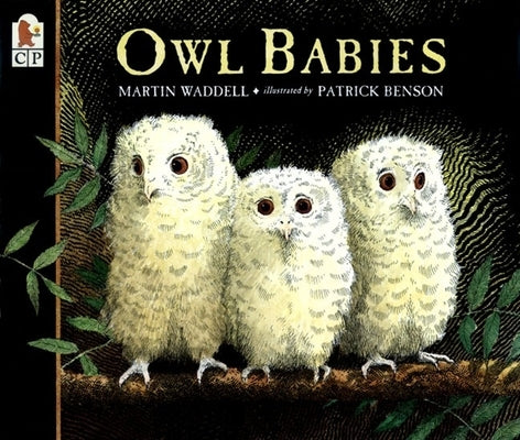 Owl Babies - Paperback | Diverse Reads