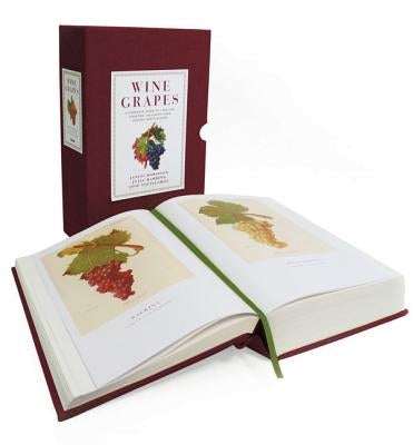 Wine Grapes: A Complete Guide to 1,368 Vine Varieties, Including Their Origins and Flavours: A James Beard Award Winner - Hardcover | Diverse Reads