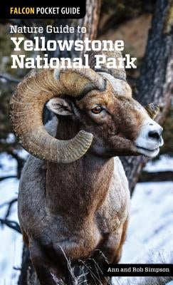 Nature Guide to Yellowstone National Park - Paperback | Diverse Reads