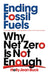 Ending Fossil Fuels: Why Net Zero is Not Enough - Paperback | Diverse Reads