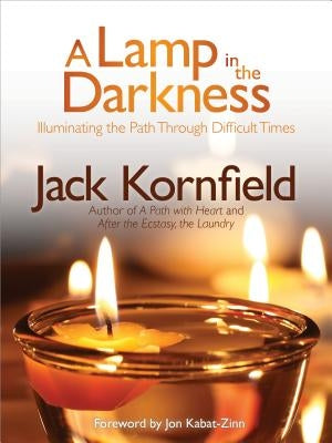 A Lamp in the Darkness: Illuminating the Path Through Difficult Times - Paperback | Diverse Reads