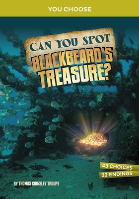 Can You Spot Blackbeard's Treasure?: An Interactive Treasure Adventure - Hardcover | Diverse Reads