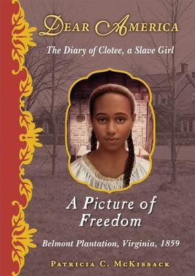 A Picture of Freedom (Dear America) - Hardcover |  Diverse Reads