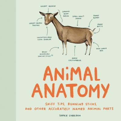 Animal Anatomy: Sniff Tips, Running Sticks, and Other Accurately Named Animal Parts - Hardcover | Diverse Reads