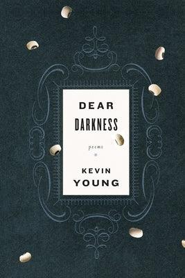 Dear Darkness - Paperback |  Diverse Reads