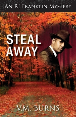Steal Away - Paperback | Diverse Reads
