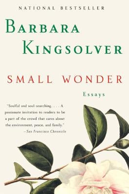 Small Wonder - Paperback | Diverse Reads