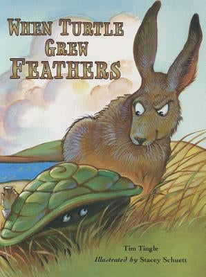When Turtle Grew Feathers: A Tale from the Choctaw Nation - Paperback | Diverse Reads