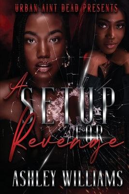 A Setup For Revenge - Paperback | Diverse Reads