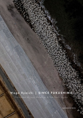 Since Fukushima - Paperback | Diverse Reads