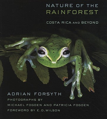 Nature of the Rainforest: Costa Rica and Beyond - Paperback | Diverse Reads