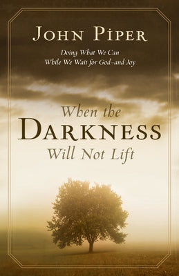 When the Darkness Will Not Lift: Doing What We Can While We Wait for God--and Joy - Paperback | Diverse Reads