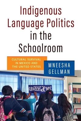 Indigenous Language Politics in the Schoolroom: Cultural Survival in Mexico and the United States - Paperback